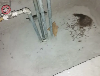 涟源卫生间测漏水价格明细